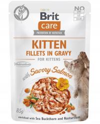 Brit lazacos eledel kiscicáknak 24x85g 1 db