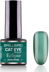BrillBird - CAT EYE Eclipse - Evergreen - 4ML