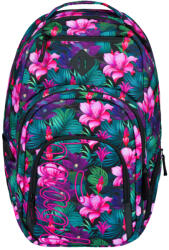 Baagl Rucsac Coolmate Paradise
