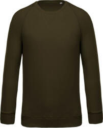 Kariban Vintage K480 / Hanorac bărbătesc din bumbac organic - verde mușchi XXL (20K480r5805)