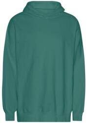 Neutral T 63111 TIGER / Hanorac unisex supradimensionat din bumbac organic - turcoaz XXXL (77T31157713)