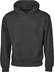 TEE JAYS TJ5162 / Hanorac unisex - negru L (18516200203)