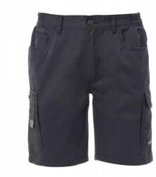PAYPER SANDIEGO 000318-0064 / Pantaloni scurți Bermuda bărbătești - fumuriu/negru L (000318006413010L)
