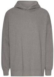 Neutral T 63111 TIGER / Hanorac unisex supradimensionat cu glugă din bumbac organic - gri sport M (77T31162002)