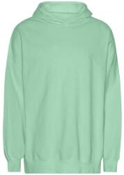 Neutral T 63111 TIGER / Hanorac unisex supradimensionat din bumbac organic - verde închis S (77T311z8701)