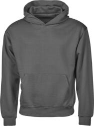 TEE JAYS TJ5162 / Hanorac unisex - gri pudrat XL (185162r8204)
