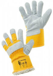 CXS DINGO WINTER 370000100011