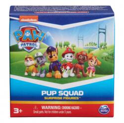 Starpak Paw Patrol într-un film mare mini figurină Zuma (6067087) Figurina