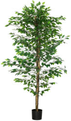 Homcom Műnövény, fikusz, cserépben, 180 cm (830-799V01GN)