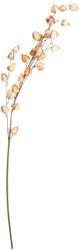 Homla Michu műág piros 85 cm Homla (244949)