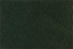 Dune Diagonal, háztartási szennyfogó szőnyeg, 60x90 cm, zöld (FAL-469-707)