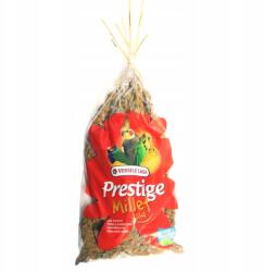 Versele-Laga Versele Laga Milletsprays 300g sárga kalászos köles minden papagáj számára (5410340513309)