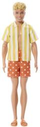 Mattel Barbie Fashionistas Model Ken California Dream (25JJN66) Papusa Barbie