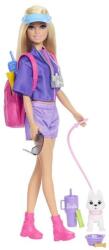 Mattel Barbie păpușă în excursie cu cățelul (25JJV59) Papusa Barbie