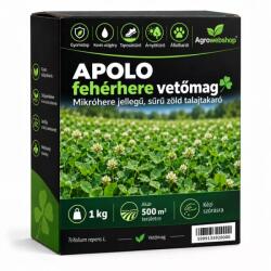 Agro-Largo Fehérhere vetőmag | 500m2 | 1kg (mag20000)