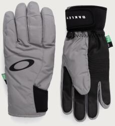 Oakley mănuși de schi pentru bărbați POWDER RIDGE 9BYA-REM022_90X (FOS901942)