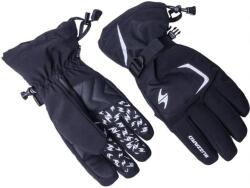 BLIZZARD REFLEX SKI GLOVES Black/Silver - mănuși de schi