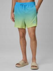 4F Férfi Strand Rövidnadrág 4F Rövid Boardshort Kék 4XL Plus Size (4FWSS26UBDSM168)