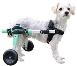  Walkin' Pets - Cărucior, mărime mică (5-11 kg) Verde mentă