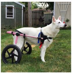  Walkin' Pets - Cărucior albastru - Mărime mare (32 - 68 kg) Roz