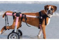 Walkin' Pets - Cărucior albastru - Mărime medie (12 - 31 kg) Roz