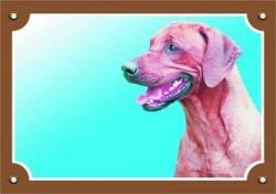 Dafiko Színes tábla 'Vigyázat kutya', rhodéziai ridgeback