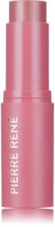 Pierre René Blush Me Stick blush stick culoare 02 Nude Blush 10.5 g