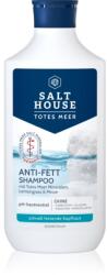 Salthouse Dead Sea Therapy Anti-grease Shampoo șampon pentru scalp gras 250 ml