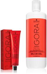 Schwarzkopf IGORA Royal set în timpul vopsirii părului culoare 6-00