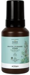 Artègo Spuma de curatare pentru scalp si piele Oasis Phyto-Cleanse 280ml (46072011)