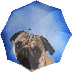 Doppler Modern Art Magic Lazy Dog