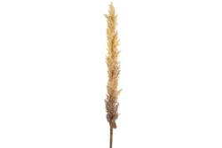  Művirág Astilbe világos barna 114 cm