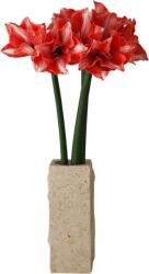 Botane Buchet de flori artificiale Dark Red Amaryllis (BOT-WI26-BOU-028)