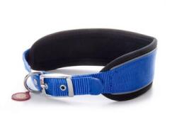 JKAnimals Zgarda caini JK Nylon Comfort Albastra 5.1x40-49 cm, Captuseala Neopren, Reflectorizanta