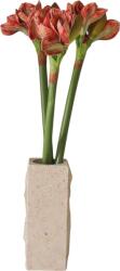 Botane Buchet de flori artificiale Burnt Red Amaryllis (BOT-WI26-BOU-017)