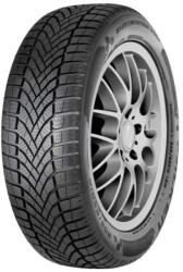 Falken Anvelopa Iarna Falken HS02 205/55R16 91H (AC57994)