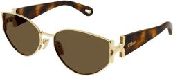 Chloé CH0260S 002
