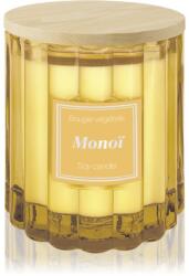 Esprit Provence Monoï illatgyertya kupakkal 100 g