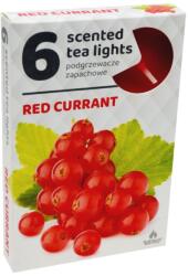  Teamécses 6 Db Red Currant Illatú Gyertya