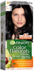 Garnier Vopsea pentru Par, Garnier Color Naturals, 1 Negru (1615)