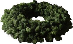 Botane Coroană Green Moss 40 cm (BOT-CH26-WRE-010)