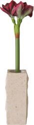 Botane Floare artificială Botane amaryllis 73 cm, bordo (BOT-BU-AMY-001)