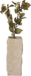 Botane Crenguță artificială Botane eucalipt 80 cm, maro, uscată, 1 buc (BOT-DY-EUC-001)