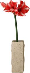 Botane Floare artificială Botane amaryllis 72 cm, roșu închis (BOT-DR-AMY-001)