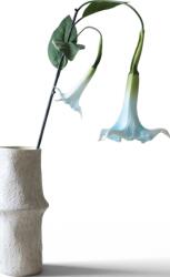 Botane Floare artificială Botane ciumăfaie 129 cm, albastru-deschis (BOT-BL-DAT-002)