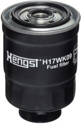 HENGST FILTER Filtru Combustibil H17Wk09 Daihatsu Rugger Hyundai Galloper Ii/Grace/H-1/H100 (H17WK09)