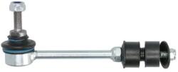 REINHOCH Brat/Bieleta Suspensie, Stabilizator Axa Spate Ambele Parti Rh07-4017 (RH07-4017)