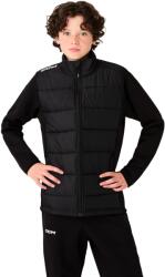 CCM Jachetă pentru copii Team Hybrid Quilted Jacket Black XL