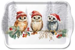 Ambiente B. V Karácsonyi baglyos műanyag kistálca 21x13 cm - Wise Owls (VR-33721095)