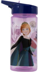 TYPEC Sticla de apa pentru copii, Frozen, 510 ml, Mov